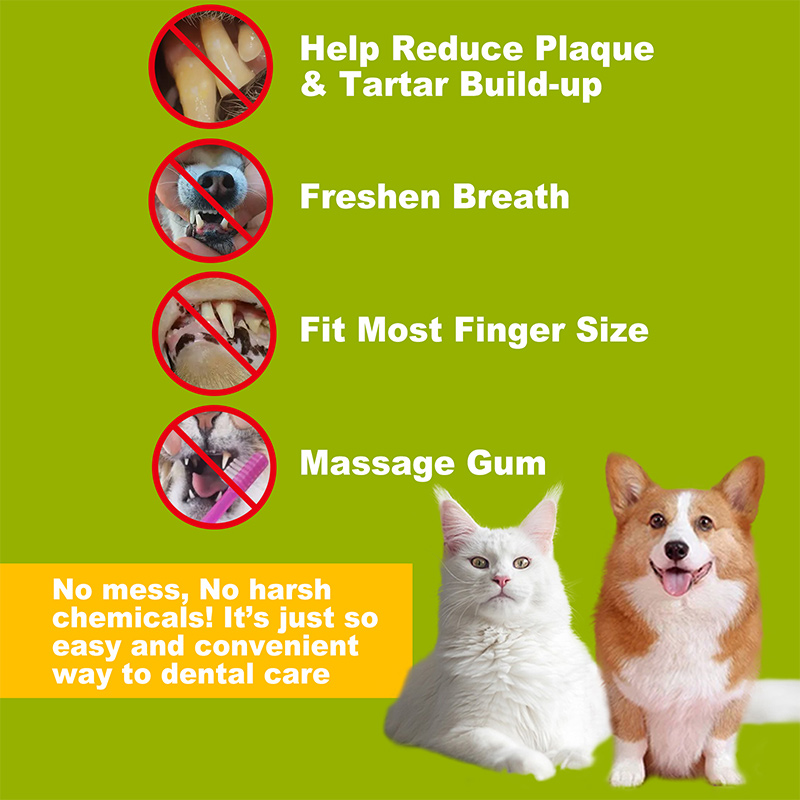dental wipes for cats