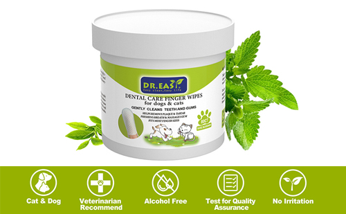 How to Source High-Quality Disposable Pet Wipes for Wholesale | Complete Sourcing Guide 2026